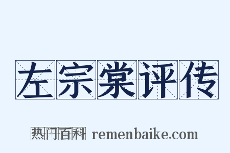 左宗棠评传是什么意思的图片